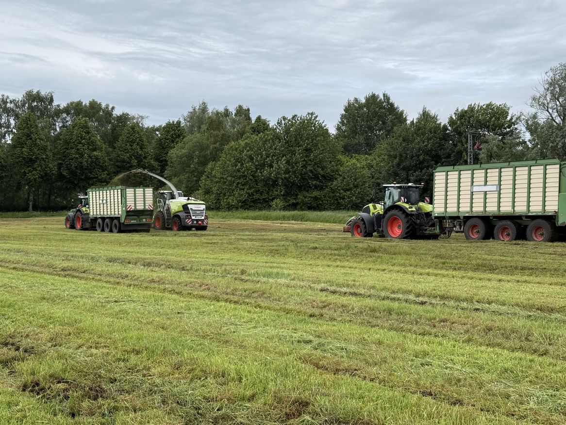 Erntezeit bei der Biogasanlage Stralsund