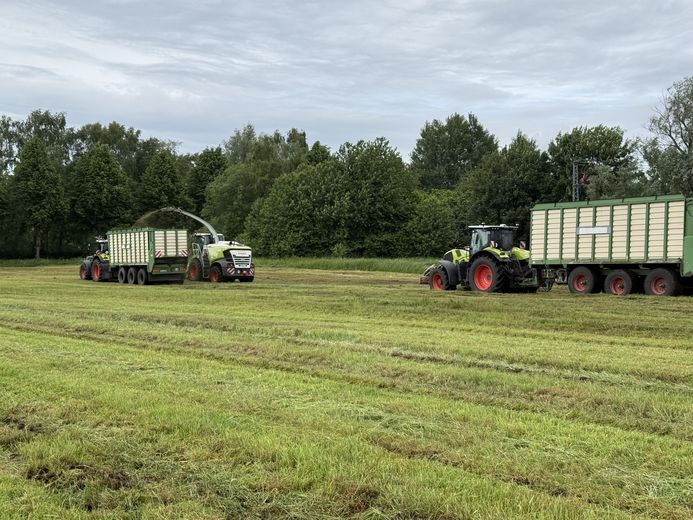 Erntezeit bei der Biogasanlage Stralsund