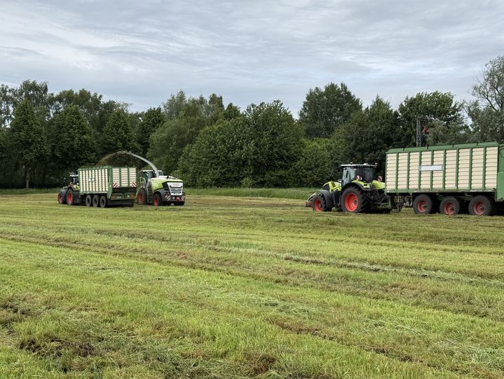 Erntezeit bei der Biogasanlage Stralsund
