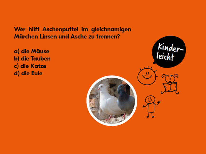 Bild Quiz und Tauben 