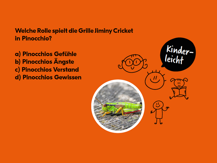 Bild Quiz und Grille