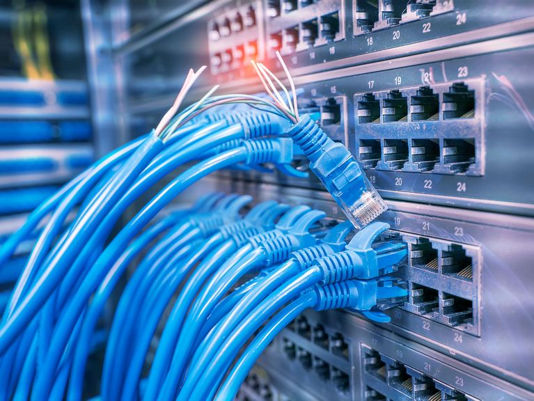Alt-Text: "Bündel von blauen Netzwerkkabeln, die ordentlich in die Schlitze eines Netzwerk-Switches in einem Datenzentrum eingesteckt sind, mit leuchtenden LED-Anzeigen.