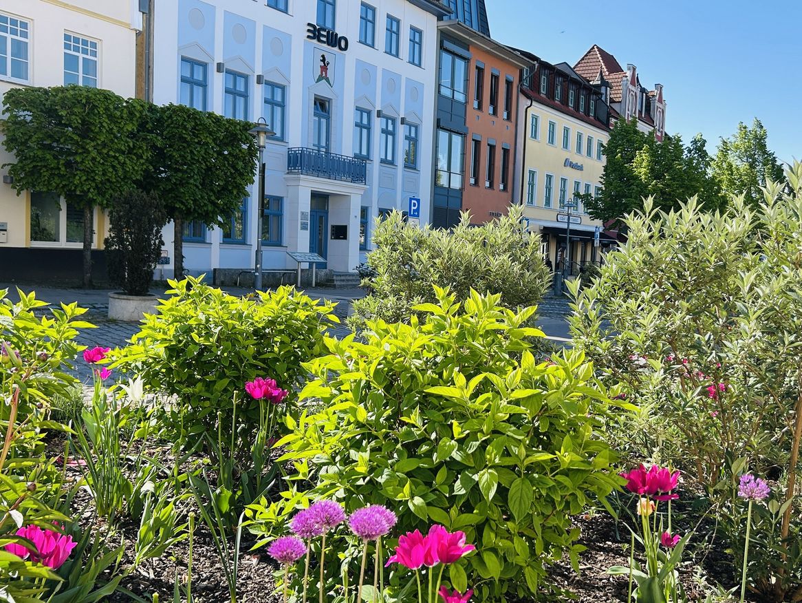 Energie Rügen öffnet Service-Standort am Markt 11 in Bergen auf Rügen.
