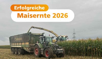 Der Landwirt im Traktor bringt die Maisernte der Stadtwerke Stralsund ein.
