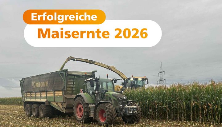 Der Landwirt im Traktor bringt die Maisernte der Stadtwerke Stralsund ein.