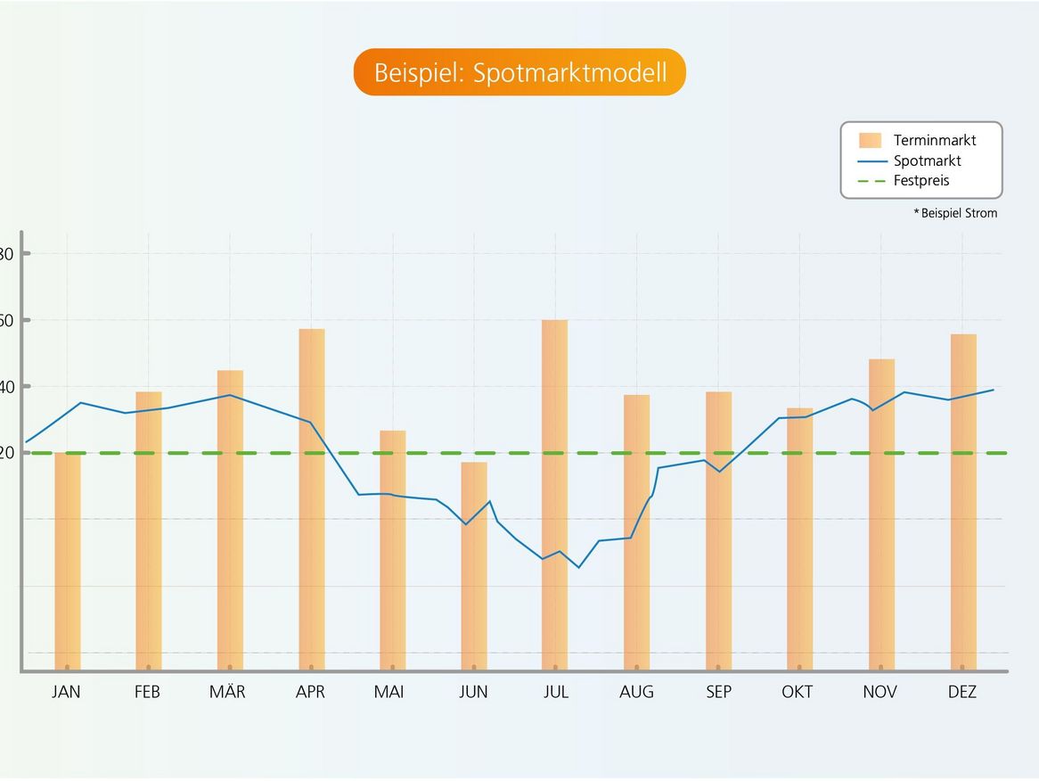 Volle Markt Flexibilität das Spotmarktmodell Beispiel 