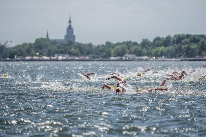 Sportler schwimmen auf dem Sund der Hansestadt Stralsund