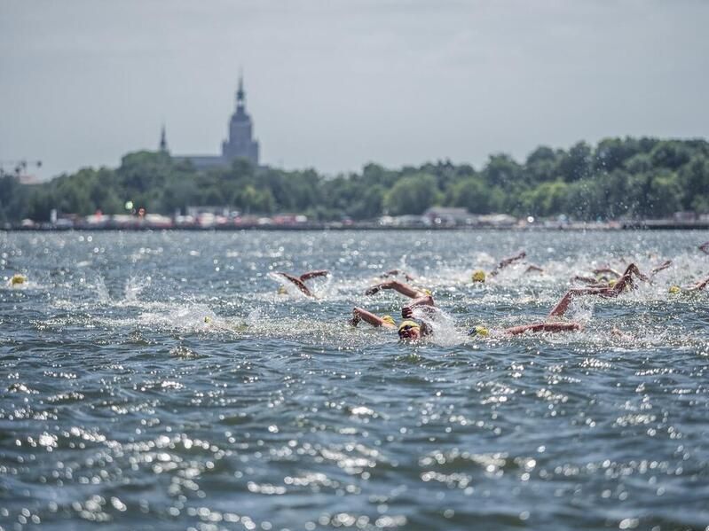 Sportler schwimmen auf dem Sund der Hansestadt Stralsund