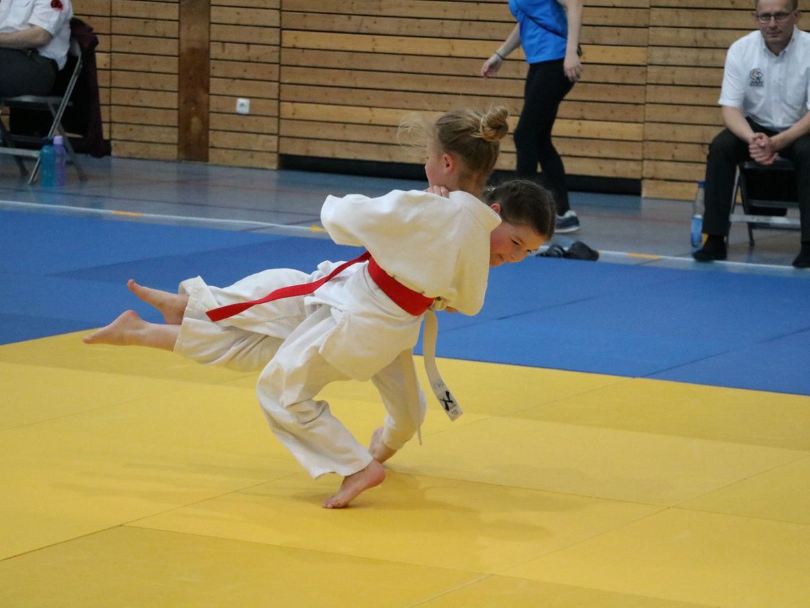 Am 17. Mai veranstaltete der Stralsunder Judo Club sein großes SUND-Pokalturnier in der Sporthalle Diesterweg in Stralsund. 