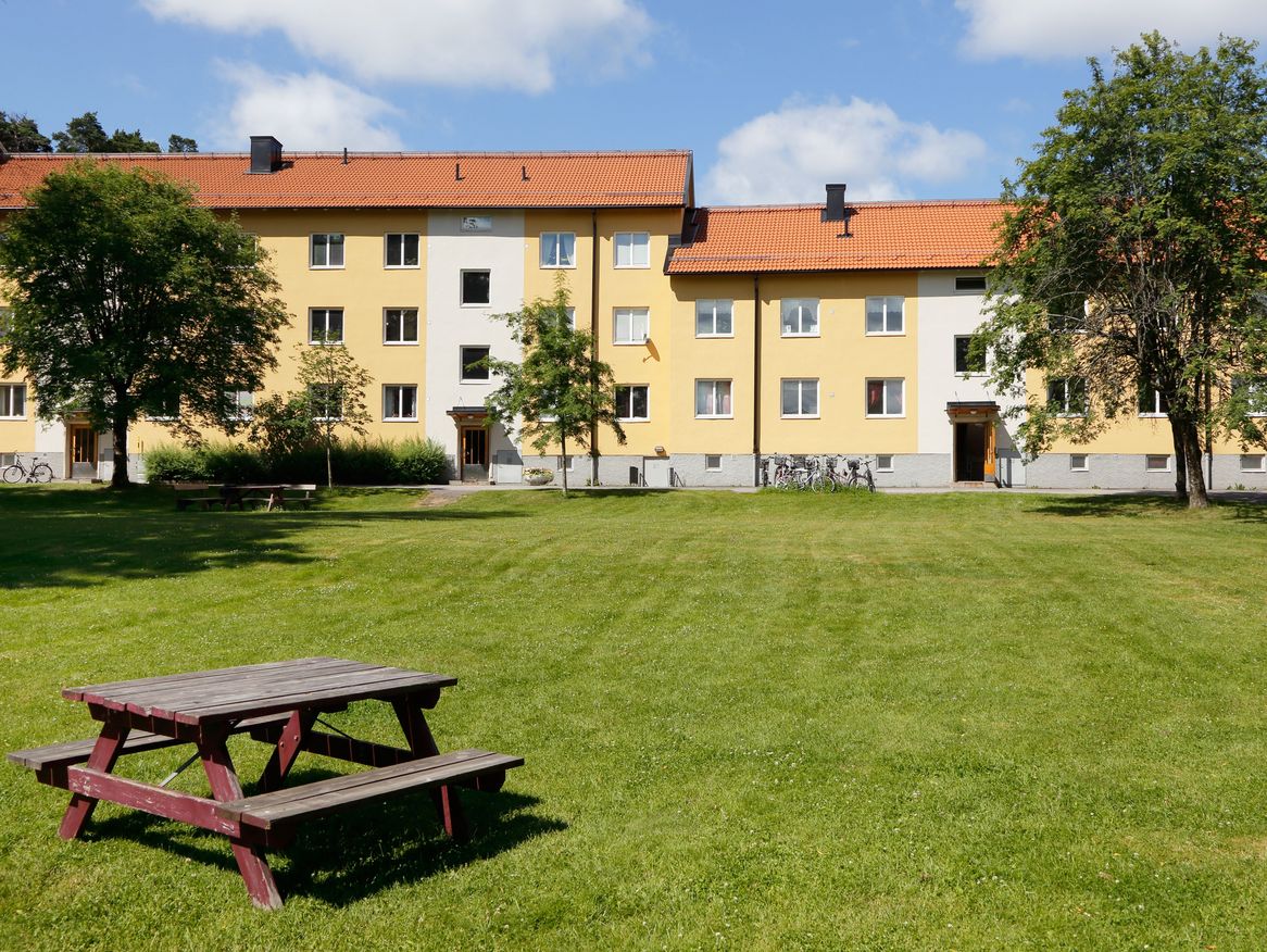 Nahwärme für Mehrfamilienhäuser und Schulen in Stralsund