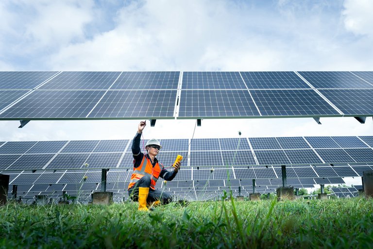 Eine Person in Warnkleidung inspiziert ein Solarmodulfeld, ein dynamischer Kontrast zwischen der Natürlichkeit des hohen Grases im Vordergrund und der sauberen, geometrischen Linienführung der Solartechnologie.