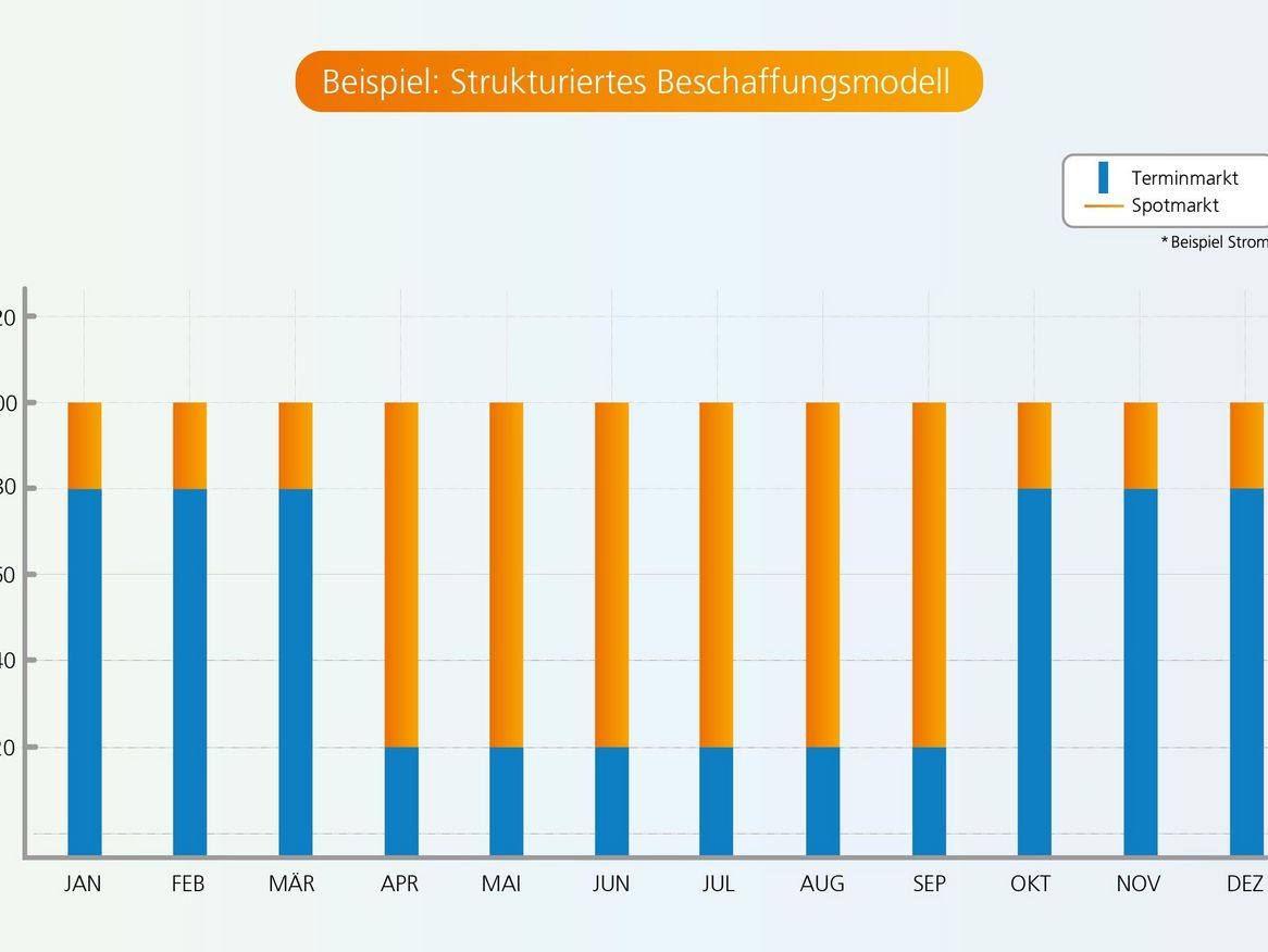 Beschaffungsmodell der Stadtwerke Stralsund ein Beispiel 