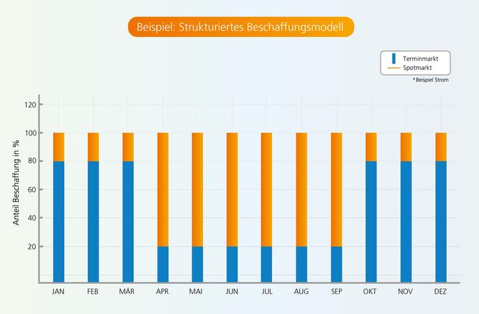 Beschaffungsmodell der Stadtwerke Stralsund ein Beispiel 