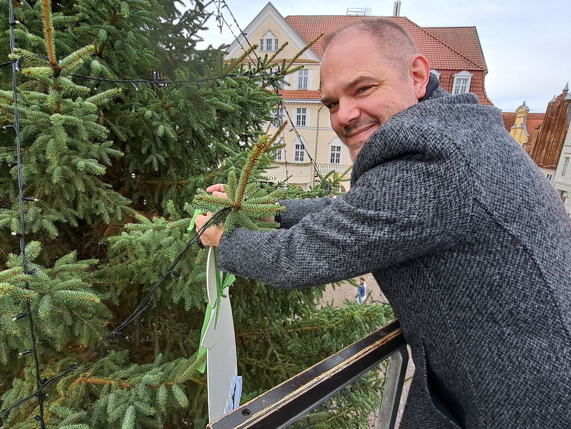 Stralsunder Oberbürgermeister beim Schmücken des Weihnachtsbaumes gemeinsam mit den Stralsunder Werkstätten.