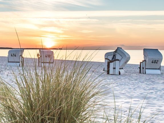 Strand mit Strandkörben auf der Insel Rügen - Tourismus in Vorpommern-Rügen und Stralsund